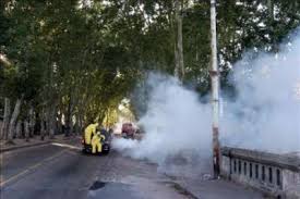 ¿por qué se dio esta proliferación de mosquitos? Fumigacion A Gran Escala En Montevideo Por Inedita Invasion De Mosquitos Causa Abierta