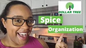 Spice Cabinet Organization (Dollar Tree Lazy Susan Hack)