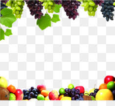 Cranberry Png Cranberry Sauce Cranberry Watercolor Cranberry Wreath Cranberry Water Cartoon Cranberry Cranberry Vine Cranberry Bog Cranberry Red Cleanpng Kisspng This high quality free png image without any background is about fruits, berry, berries, cranberries and cranberry. cranberry png cranberry sauce