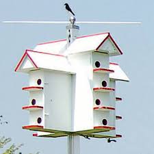 Cedar suite plans provide photos, diagrams and easy to read steps on how to build a compact, beautiful martin house with ease. Troyer S Birds Paradise Cedar T 14 Purple Martin House
