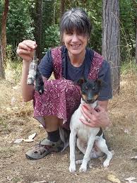 Try to start with a delicious treat such as a beef jerky or small bits of cheese before moving on to something harder like peanuts. Training A Rat Terrier To Hunt A Novice S Approach That Worked Gianaclis Caldwell