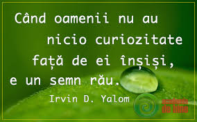 1970 veröffentlichte yalom the theory and practice of group psychotherapy und sprach über die forschungsliteratur zur. Citate Dr Irvin Yalom