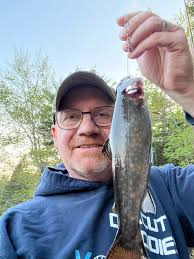 Find the hidden cat. I took 7minutes. 🙄