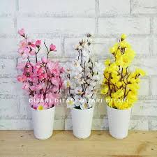 Check spelling or type a new query. Jual Murah Bunga Plastik Artificial Palsu Dekorasi Rumah Sakura Imlek Merah Muda Shopee Indonesia