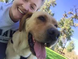 Oreo the dog enjoyed hiking at overlook