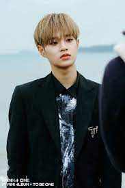 Minhyun,seongwoo,guanlin,jinyoung,daniel,jisung unten von links nach rechts: Wanna One Daehwi K Pop Amino