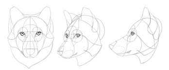 It is believed that wolves are the ancient ancestors of our domestic dog nowadays. Sketchbook Original How To Draw Wolves Monika Zagrobelna