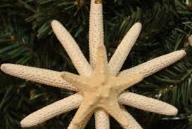 These cute metal flamingos are fully lighted and designed as christmas decor, note their festive attire. 45 Beach Christmas Pictures Ideas Beach Christmas Christmas Pictures Beach Christmas Pictures