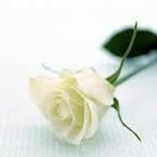C bunga terakhir em e am ku persembahkan kepadanya yang terindah gm c f em dm g sebagai satu tanda cinta untuknya c bunga terakhir em e am menjadi satu kenangan yang tersimpan gm c. Bebi Romeo Bunga Terakhir By Noverinoa Mo Enk