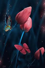 Apakah anda mencari gambar desain perhiasan kupu kupu template psd atau file vektor? Azizan Abu Bakar Azizan65 Profile Pinterest