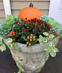 Pflanzentanzen De Garten Gartnern Pflanzen Gartengerate Tipps Blumenkubel Fur Den Herbst Herbst Blumentopfe Herbstgarten