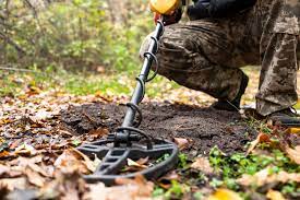 From gold to coins to whatever other hidden treasures may be. 8 Best Metal Detectors For Gold In 2021