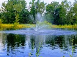 This small pond fountain is very popular and comes with led fountain lighting options. Classic Series Pond Fountain 3500