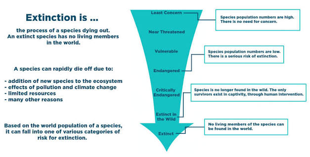 Species Extinction — Definition & Causes - Expii