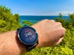 Which one do you suggest i should get? Garmin Vivoactive 4 Test Fitness Smartwatch For Sports And Travel