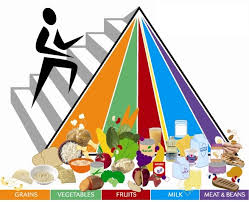 balance diet chart to ensure a healthy food habit clip art