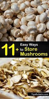 11 Brilliant And Easy Ways To Store Mushrooms Stuffed Mushrooms How To Store Mushrooms Fresh Mushrooms