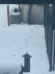 My journey begins. Wife has a request for a pool. Now I'm trying to bring  it to life. Working