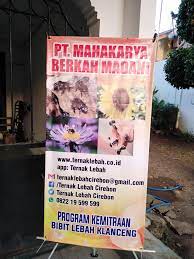 Kemitraan lebah - Posts | Facebook