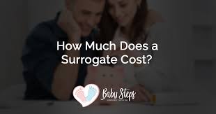 We did not find results for: How Much Does A Surrogate Cost Baby Steps Surrogacy Center Inc