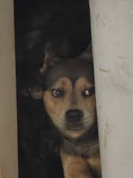 Jane Haislip's Instagram, Twitter & Facebook