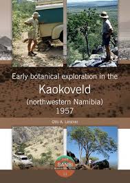 Image result for Danthoniopsis dinteri