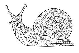 A snail without a shell is a slug! Snail Coloring Page Contour Vector Illustration For Children And Adults Stock Vector Adobe Stock