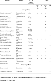 Image result for Eriocaulon deightonii