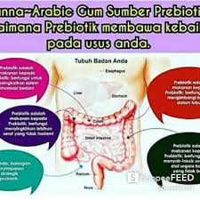 Hasil positif yang didapat pelanggan kami, tidak bisa menjadi jaminan bahwa hasil yang sama akan anda dapatkan. Gum Arabic Changkat Ibul Changkat Jering 2021