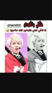صور اكسو Funny Korean Arabic Funny Exo Funny