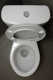 However, the water will either slowly rotate or will act like it's clogged. Help My Toilet Won T Stop Running