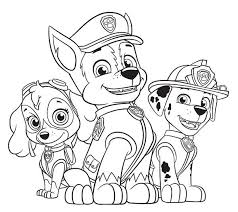 Coloriage Et Dessins Pat Patrouille Ou Paw Patrol En 2020 Dessin Pat Patrouille Coloriage Pat Patrouille Coloriage Paw Patrol