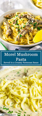 Morel Mushroom Pasta In Parmesan Cream Sauce Burrata And Bubbles Recipe Easy Cooking Recipes Mushroom Recipes Vegan Morel Mushroom Recipes