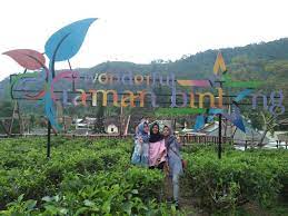 Suasana yang sangat menyegarkan, terhampar luas pesona kebun teh nan asri, pemandangan alam. Lokasi Dan Harga Tiket Masuk Taman Bintang Kemuning Ketika Kebun Teh Disulap Menjadi Spot Wisata Yang Menarik Daka Tour