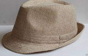Check Ebay Deal Of Today Hats For Men Mens Fedora Beige Color