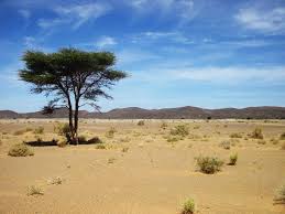 388 likes · 1 talking about this. Sous Le Sahara Une Nappe D Eau Grande Comme Deux Fois La France Alimente Les Oasis Du Desert
