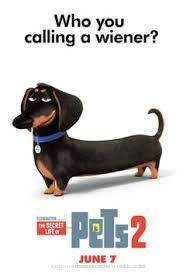 The Secret Life Of Pets 2 P E L I C U L A Completa 2019 Gratis En Espanol Latino Hd Secret Life Of Pets Secret Life Pets