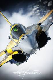 Dassault Tiger Rafale By Chen Peng Fighter Jets Air Fighter Fighter Aircraft