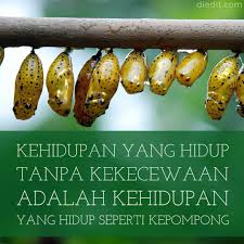 *** jangan merasa sendiri di kala sedih, jika malam tak kamu nikmati, indah pagi tak memberi arti, disaat seperti itulah justru kamu merasa sepi, sedangkan saat sendiri keindahan ciptaan tuhan. 275 Quotes Sedih Tentang Cinta Dan Kehidupan Gambar Diedit Com