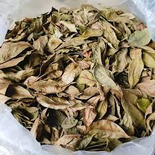 Dịch Vụ Hút Chân Không Lá Khô – Thuốc Nam Ngăn Ẩm Mốc Hiệu Quả