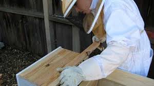 Ask a top bar owner about their beehive and you will hear a passionate and stirring defense of their hive of choice! The Joys Of A Top Bar Hive Sunset Magazine