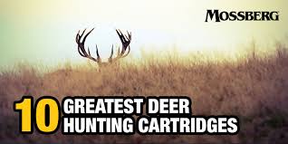 The legislature passed the law, without dnr approval. Mossberg Blog 10 Greatest Deer Hunting Cartridges O F Mossberg Sons Inc