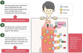 conclusive normal blood glucose levels for children chart