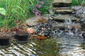 Image result for garden pond ideas