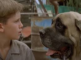 Photos from The Sandlot Secrets