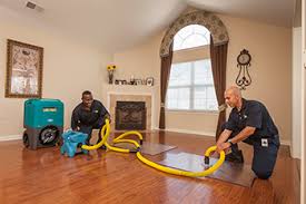 How Expert Hardwood Cleaning Services in Glenview, IL Remove Dirt and Restore Shine