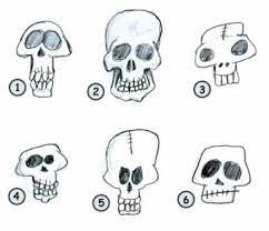 Pin On Drawing