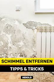 Schimmel Entfernen Tipps Tricks Schimmel Entfernen Schimmel Entfernen Hausmittel Schimmel