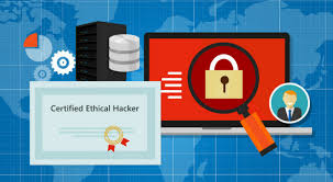 The Most Useful Programming Languages for Ethical Hacking | ONLC