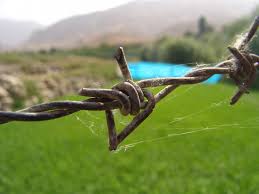 Barbed Wire Wikipedia